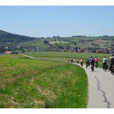 Joos Boardinghouse Appartamento Radolfzell am Bodensee